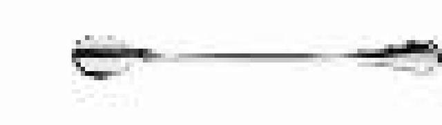 WMF Contour Sorbetlepel 18/10 - L 220mm