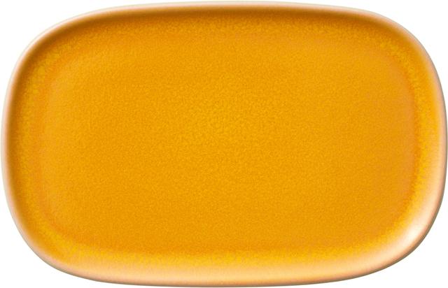Fortessa Nivo Apero Schaal plat coupe - 170x110x17mm - Oranje